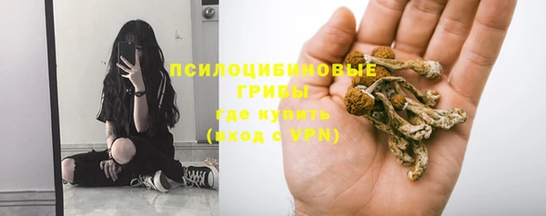 соль курить ск Ладушкин