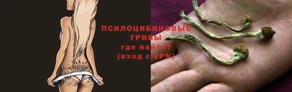 МДМА Лабытнанги