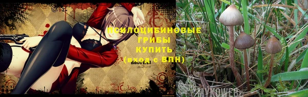 соль курить ск Ладушкин