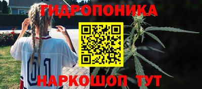 сатива Чебоксары