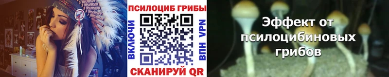 Псилоцибиновые грибы мицелий  KRAKEN ссылки  Североуральск 